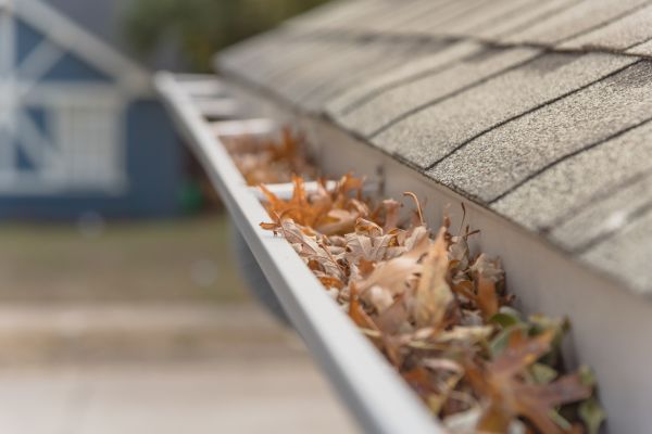 Leaf Barrier Installation in Summerfield